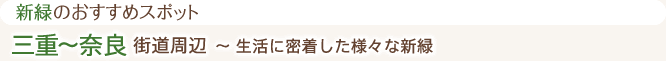 新緑のおすすめスポット 三重~奈良街道周辺