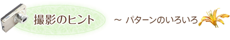 撮影のヒント