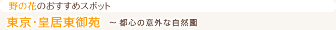野の花のおすすめスポット 東京・皇居東御苑 ~ 都心の意外な自然園