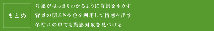 まとめ 対象がはっきりわかるように背景をボカす 背景の明るさや色を離ゆして情感を出す 冬枯れの中でも撮影対象を見つける