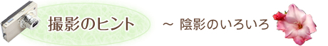 撮影のヒント
