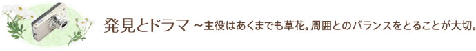 発見とドラマ～「花」だけにとらわれず、植物本来の姿を写真にしよう