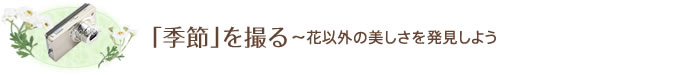 季節を撮る～花以外の美しさを発見しよう