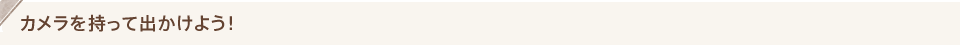 カメラを持って出かけよう！
