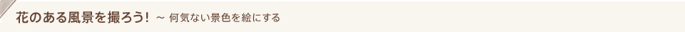 花のある風景を撮ろう！～ 何気ない景色を絵にする
