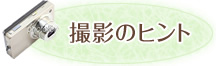 撮影のヒント