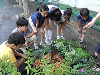 いろんな植物の性質を聞きながら、これから行う作業と班わけ、役割分担を相談して決めました