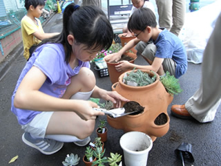 ストロベリーポット班は、多肉植物係とハーブ係とに分かれて作業を開始