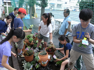 鉢のまわりに、グランドカバーやアクセントになる苗を植えこんでいきます