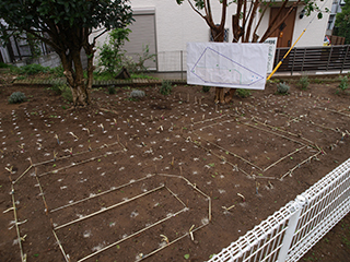 ①校章と60thのデザインを、大きな設計図にもとづいてロープで枠取り。花苗植えつけ前の花壇の様子