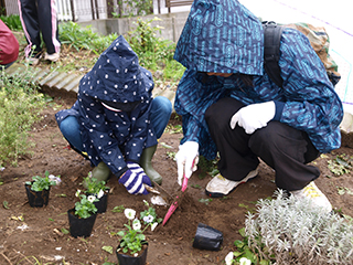 ⑥直前の台風と雨のために地面が結構かたくなっていて、スコップで穴を掘るのが大変でした