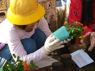 ⑤いよいよ植えつけ。ポットから苗をていねいに優しく取り出しています