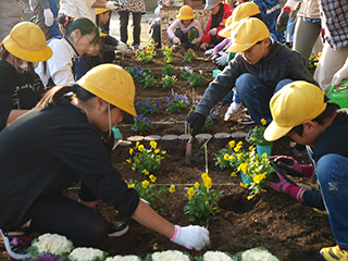 ⑦線に合わせて、曲がらないよう気をつけて