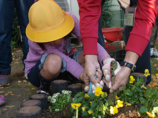 ⑧ビオラの次は球根。植える穴は、スコップを2つ使うと小さく深く掘れます