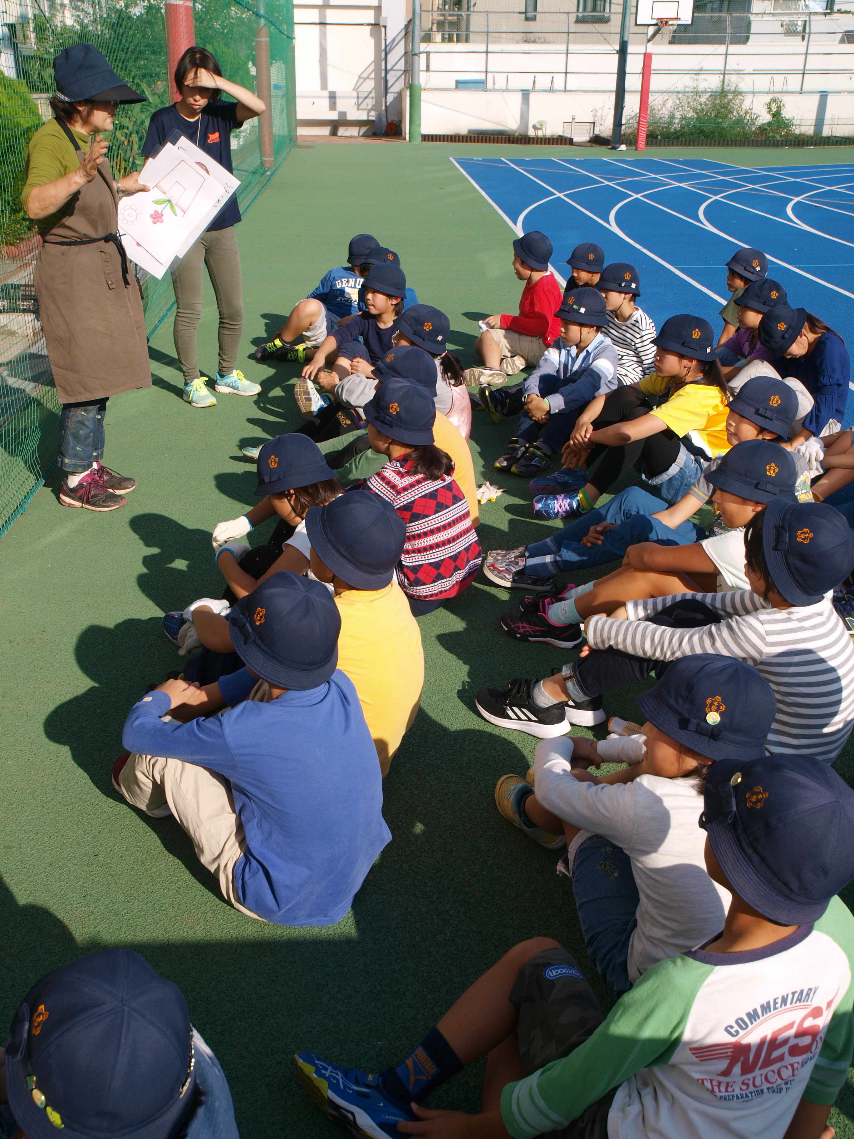 ビオラの苗をポットからていねいに取り出します