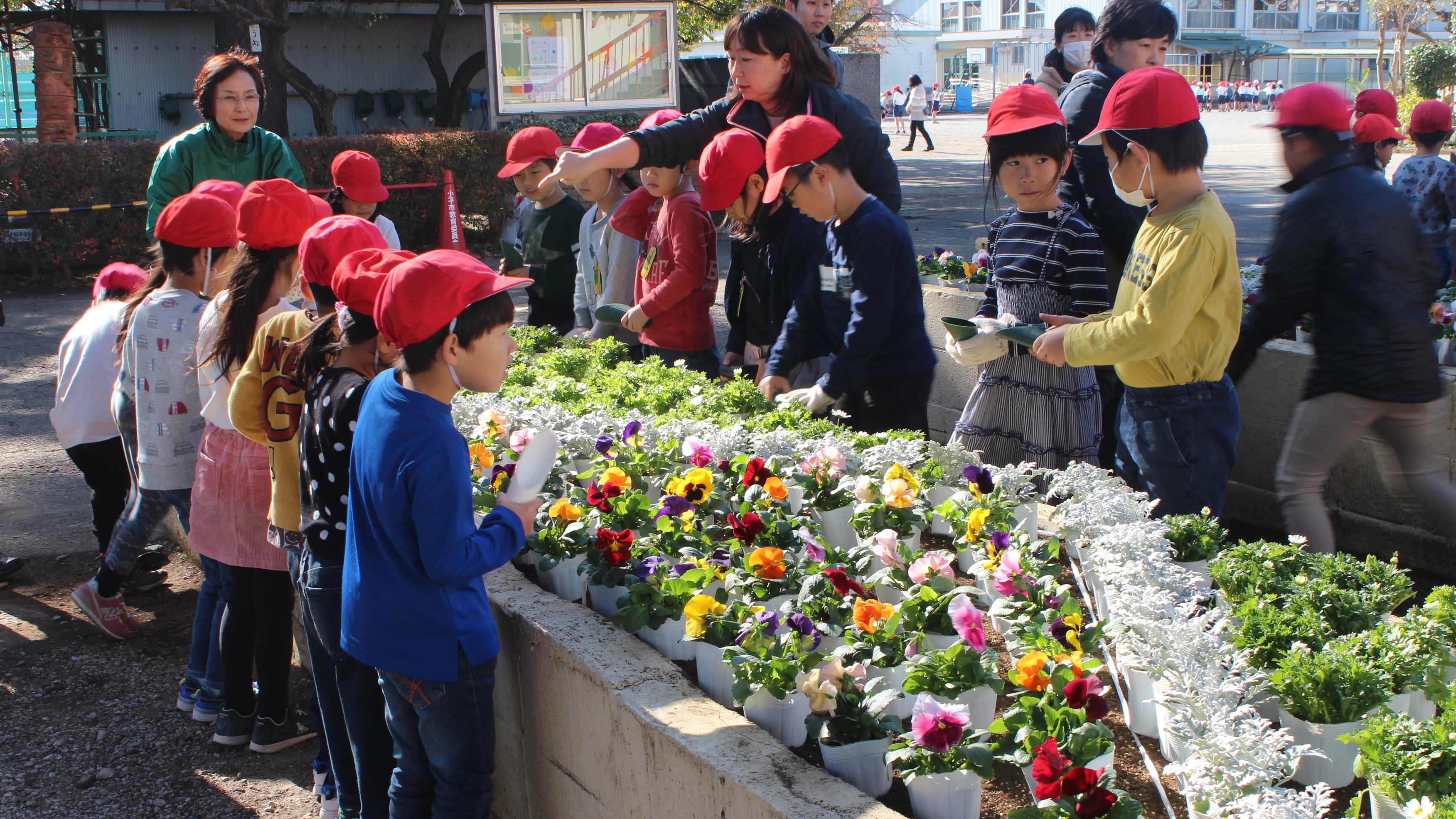 土入れを使って穴を掘ります