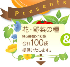 花・野菜の種合計100袋もご提供いたします。