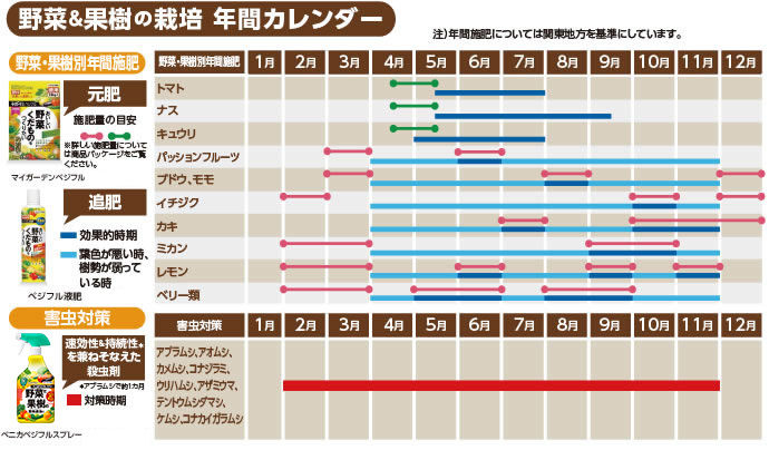 野菜＆果樹の栽培年間カレンダー