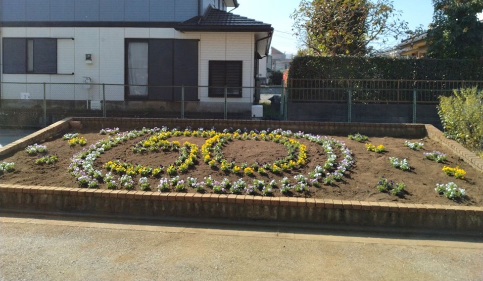 パンジーでつくった50周年記念花壇。春にはチューリップも咲きました！