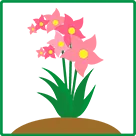 植物全体のイラスト