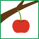 果実のイラスト