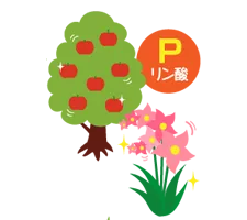 リン酸のイラスト