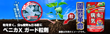 ベニカXガード粉剤