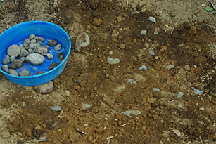 異物が混じっていない