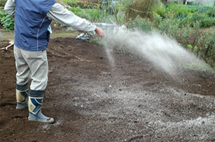 野菜が育ちやすいpH6.0~6.5の弱酸性にするため、石灰100~200g/㎡を全面に均一に散布する
