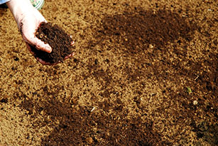 石灰を施した1~2週間後、完熟堆肥を1㎡当たり2㎏ほど散布する