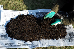 土を混ぜ返しながら、夏なら1週間、冬は2週間天日干しする