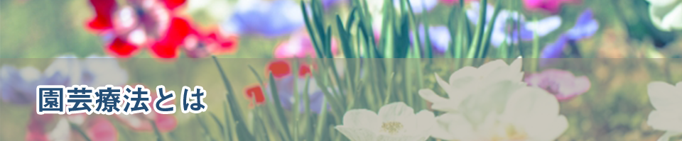 園芸療法とは