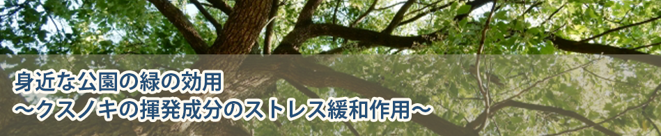 身近な公園の緑の効用 ～クスノキの揮発成分のストレス緩和作用 