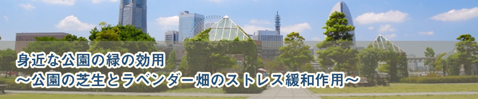身近な公園の緑の効用〜公園の芝生とラベンダー畑のストレス緩和作用