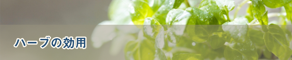 ハーブの効用