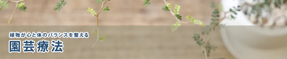 園芸療法