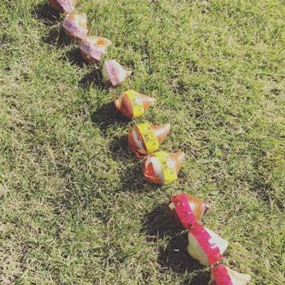 シクラメン サムネイル