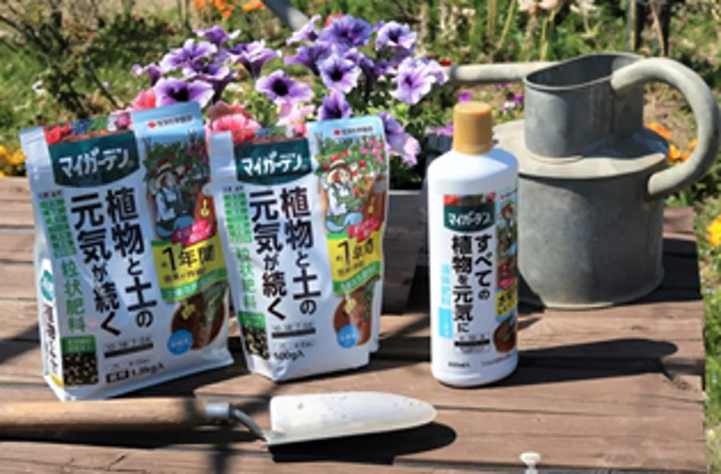 健康的に育てよう!寄せ植えの基本