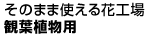 そのまま使える花工場観葉植物用