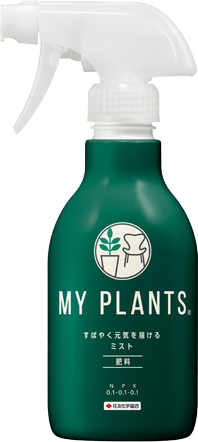 カメムシエアゾール