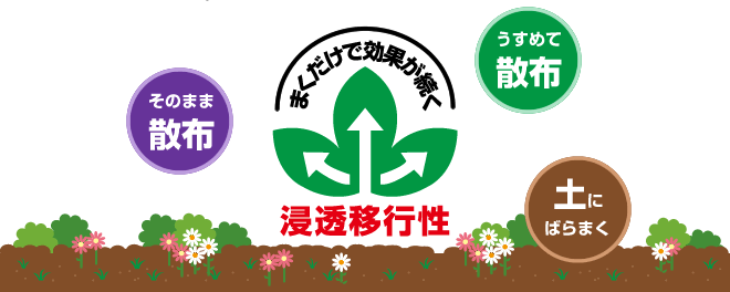 まくだけで効果が続く浸透移行性