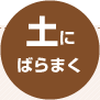 土にばらまく