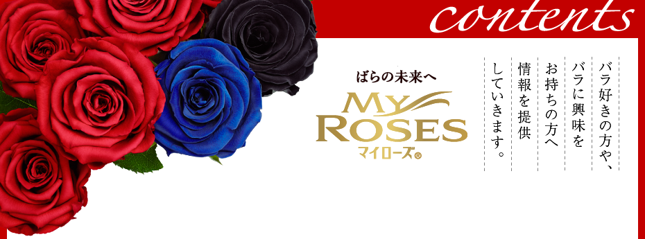マイローズ バラ好きの方や、バラに興味をお持ちの方へ情報を提供していきます。