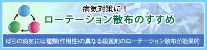 ローテーション散布のすすめ　ばらの病気には種類(作用性)の異なる殺菌剤のローテーション散布が効果的