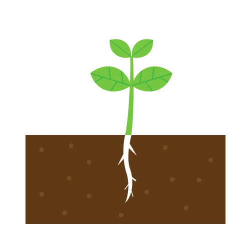 花が咲き、種子を作る