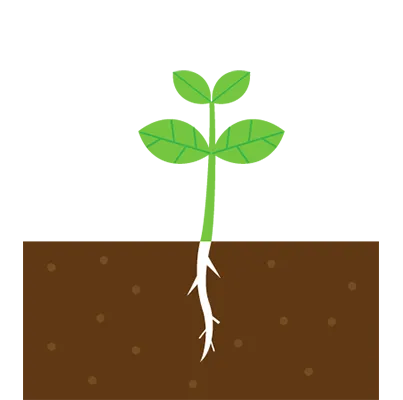 草が伸びれば根も伸びる