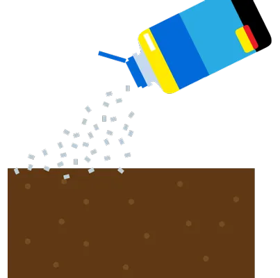 土中には見えない種子がたくさん！