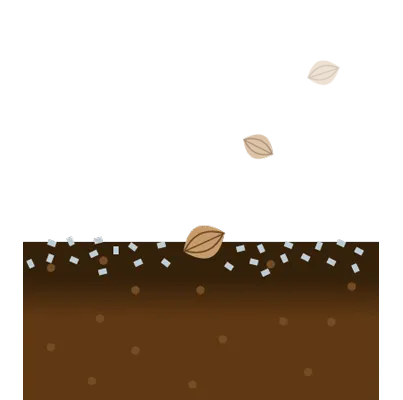 除草成分が土の表層に留まる