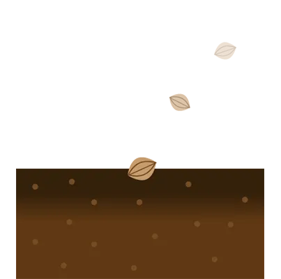 雑草の種が飛んできたイラスト