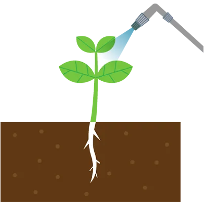 散布のイラスト